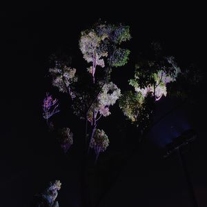 和我一样的人(Prod.姚姚）