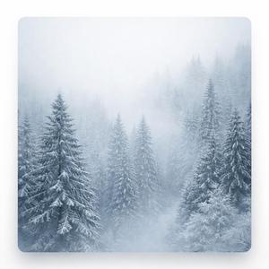 WINTRY JANUARY (HARDSTYLE)