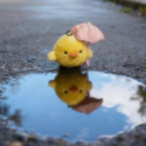 小鸡舞（grr手势舞）