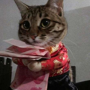 我可能过了假年-DEMO