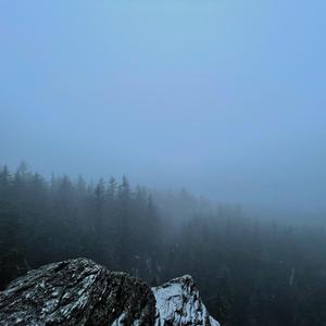 the last thing on your mind