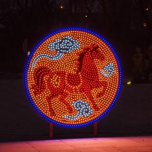 回家，是为了爱