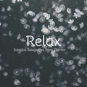 Descansa Relajado (Relax Music)