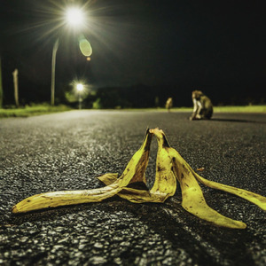 monkey business (feat. DJ.DAI)