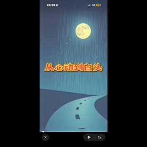 从心动到白头