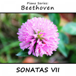 Sonata No. 13 in E-Flat Major, Op. 27 (No. 1): III Adagio Con Espressione