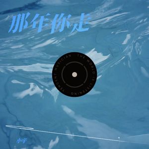 那年你走
