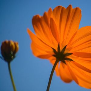 玄清寒 (缓解焦虑空灵鼓)