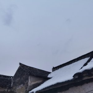 止定静安