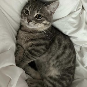 隔着删不掉的昨天