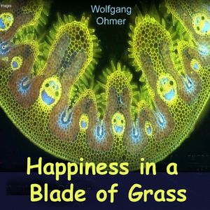 Happiness in a Blade of Grass