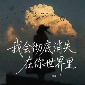 我会彻底消失在你世界里