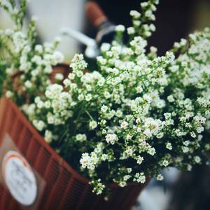 满天星送给你 - 钢琴曲