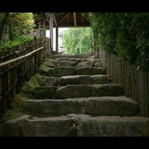 新人自述（Prod by. Xbeatz)