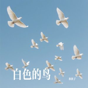 白色的鸟
