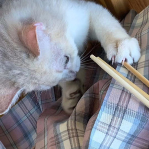 三千七百里的爱(prod. by YoungKyle)