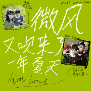 微风又吹来了一年夏天
