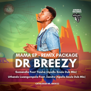 Somandla (Apollo Soule Dub Mix)