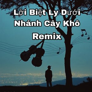 Lời Biệt Ly Dưới Nhánh Cây Khô Remix (NaDa Ro Remix)