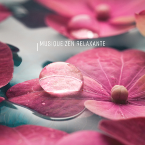 Équilibrage des chakras