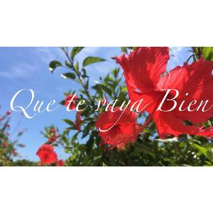 Que te vaya bien