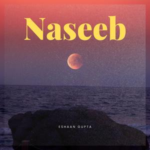 Naseeb
