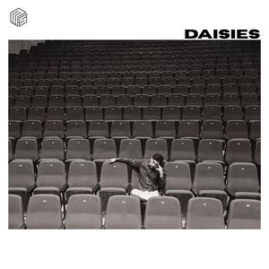 DAISIES
