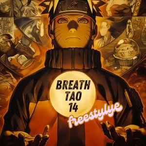 Breath Tao 14 freestyle