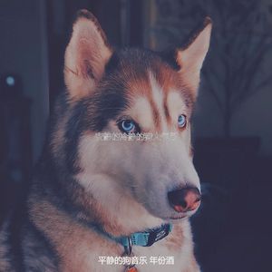 微妙的小狗心情