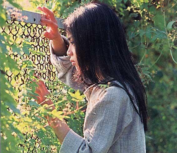 哭泣的秋风——山崎叶子精选