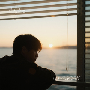 你决然走我怎强留