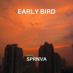 Early Bird