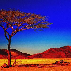 Desert (Instrumetal)