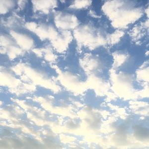 Free | nothing is sad.