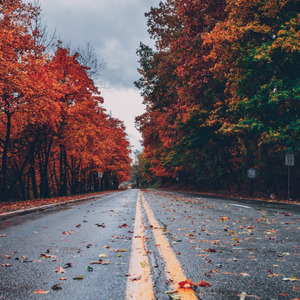 Dj Santai Cocok Buat Perjalanan Sale Sale Le X Forever Young X Jomblo Berkualitas