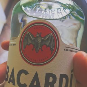 辣妹子不怕辣（王天野 remix）