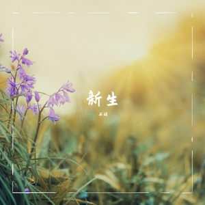 新生