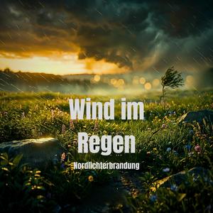 Wind im Regen