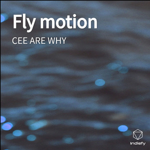 Fly motion