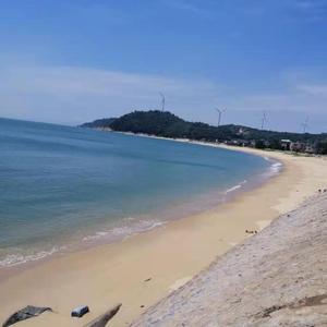 情人节的玫瑰为谁开