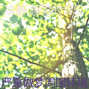 抚慰的做梦回忆