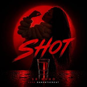 Shot