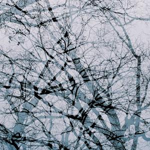 Sad (Official Instrumental) （吉他谱）（翻自 XXXTENTACION）