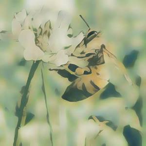 I Heard I Am Trouble