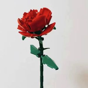 莫比乌斯环（Prod By Ljx Ghost）