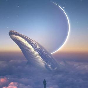 冬眠