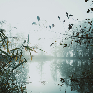 Fantasía Flotante