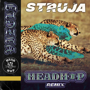 Struja (Headhop Remix)