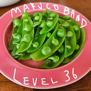 ファンファーレ