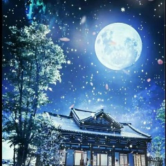一壶酒化流年 (古筝版)